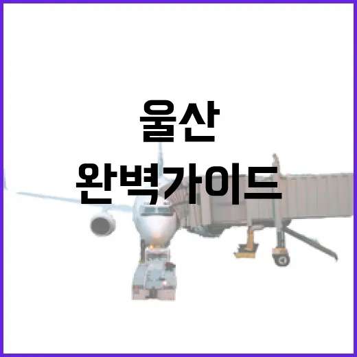울산 장생포 고래생태체험관 완벽 가이드