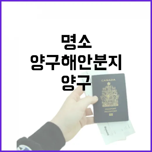 양구 해안분지, 가을 DMZ 트래킹 명소