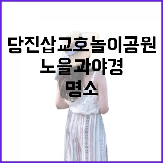 당진 삽교호 놀이공원, 노을과 야경 명소