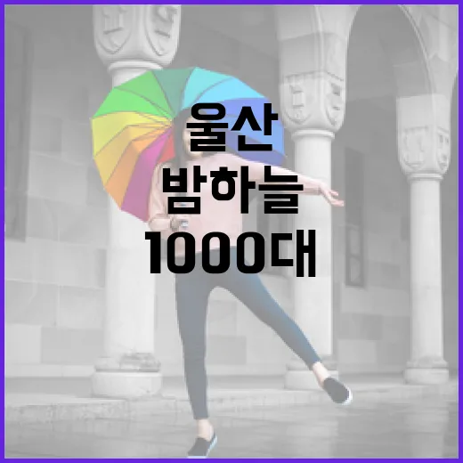 울산 태화강 빛축제, 1000대 드론쇼로 밤하늘 수놓다