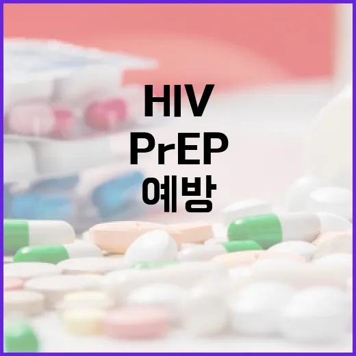 제주 HIV 예방 PrEP 지원사업 본격 운영