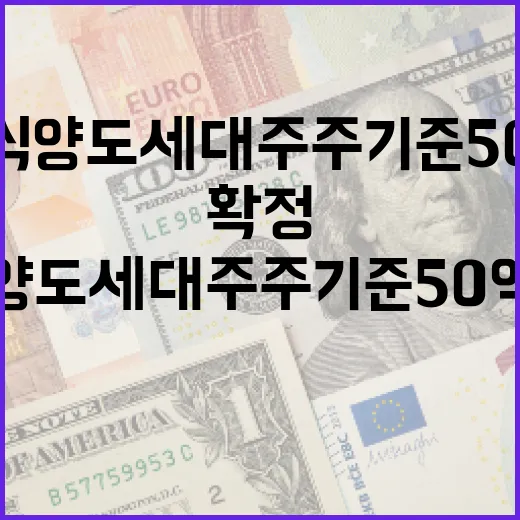 주식 양도세 대주주 기준 50억 유지 확정