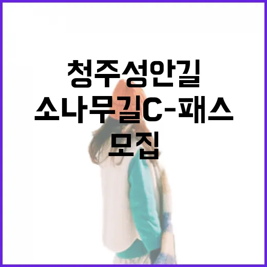청주 성안길 소나무길 C-패스 가맹점 모집