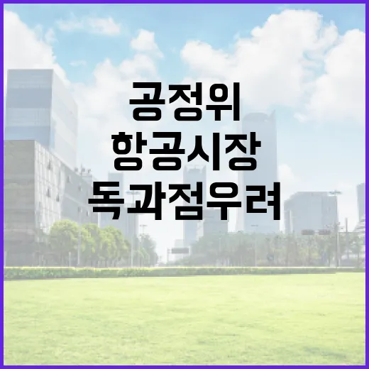 공정위, 항공시장 독과점 우려 철저 대응