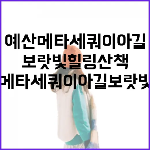 예산 메타세쿼이아길 보랏빛 힐링 산책