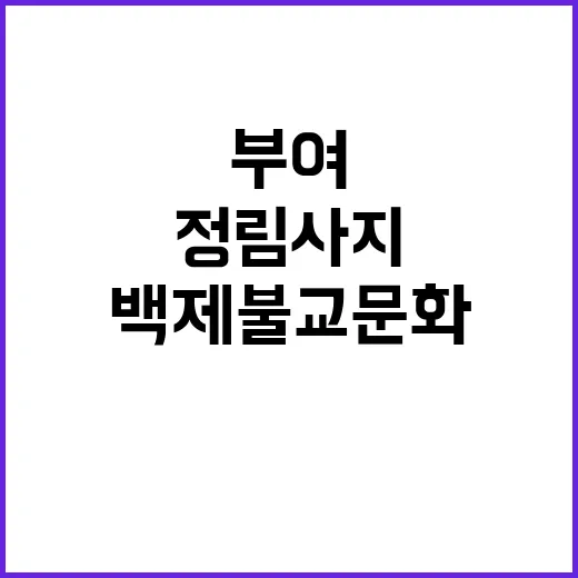 부여 정림사지, 백…