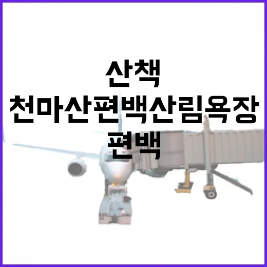 가을맞이 천마산 편백 산림욕장 힐링 산책