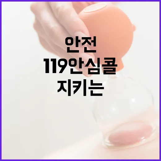 119안심콜로 지키는 도민 안전
