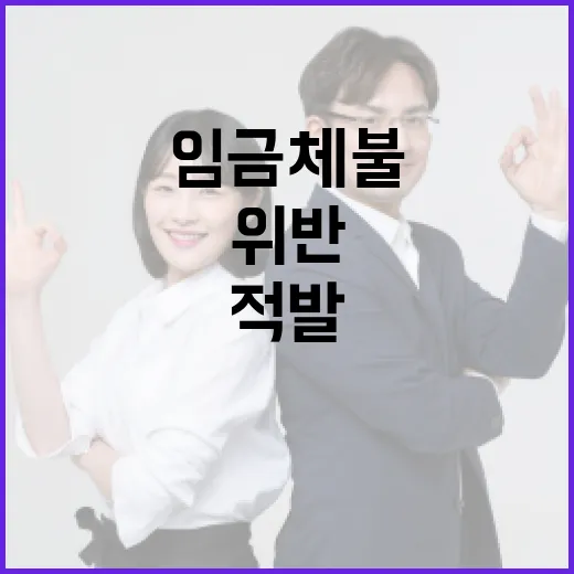 임금체불·산업안전 위반 건설업체 대거 적발