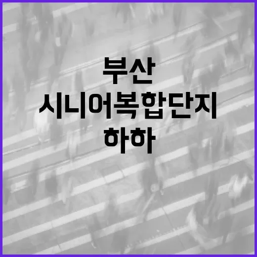 부산 하하캠퍼스, 시니어 복합단지 첫발