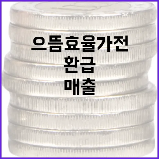 으뜸효율 가전 환급, 매출 급증 효과 뚜렷