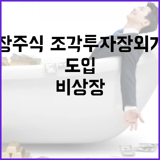 비상장주식·조각투자 장외거래소 도입 확정