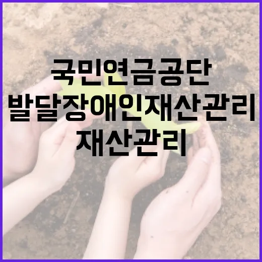 발달장애인 재산관리, 국민연금공단이 맡는다