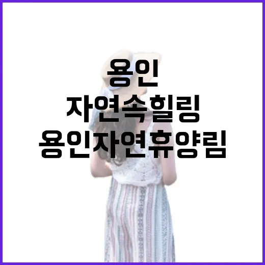 용인자연휴양림에서 만끽한 자연 속 힐링