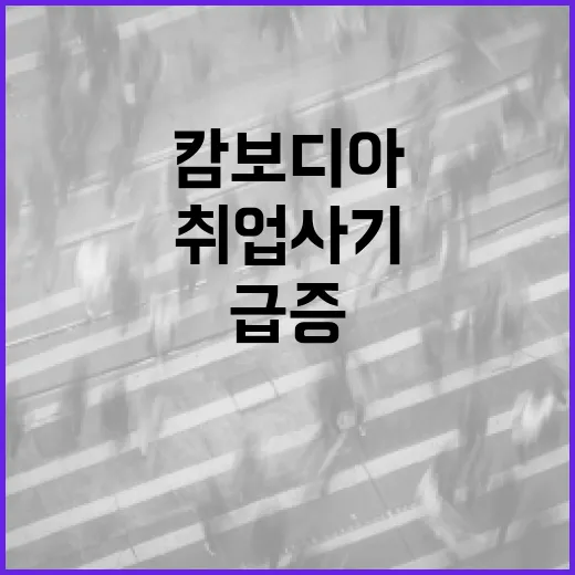 캄보디아 취업사기 급증, 외교부 여행경보 강화