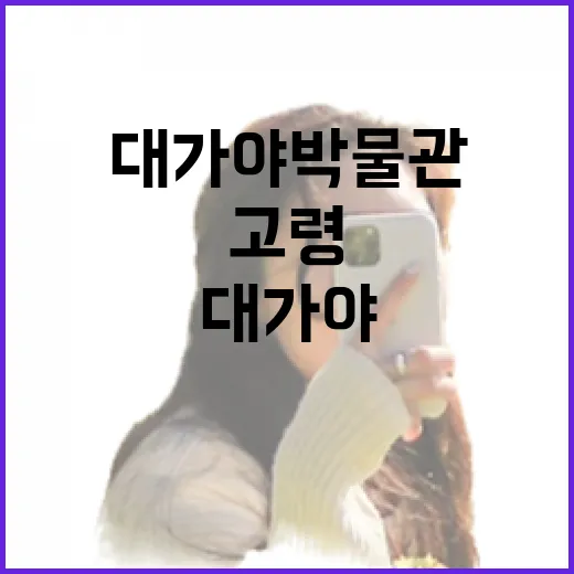 고령 대가야박물관에서 만나는 대가야 역사