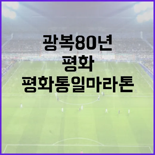 광복 80년 평화통일마라톤, 민통선 달리기 기회