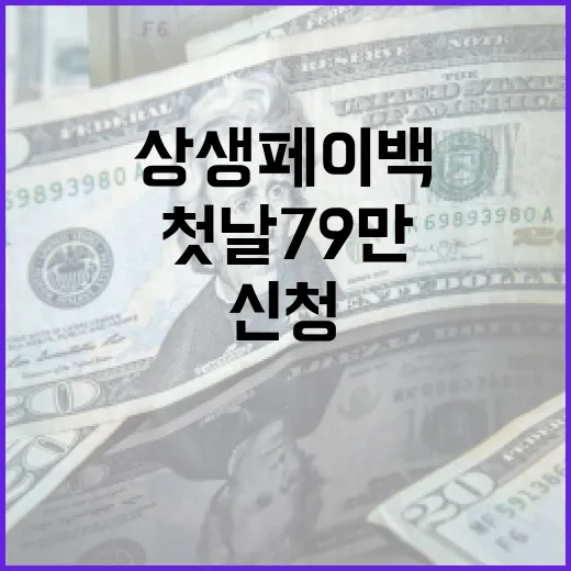 상생페이백 첫날 79만 신청, 수도권 55% 집중