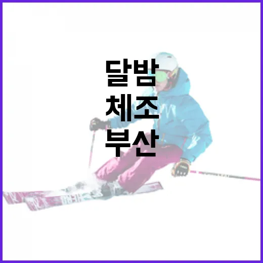 부산 달밤 체조 챌린지, 시민과 함께하는 건강 축제