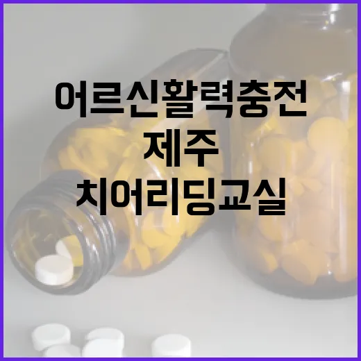 어르신 활력 충전 제주 치어리딩 교실 개설