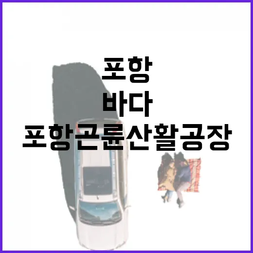 포항 곤륜산 활공장, 바다와 가을 풍경의 절경