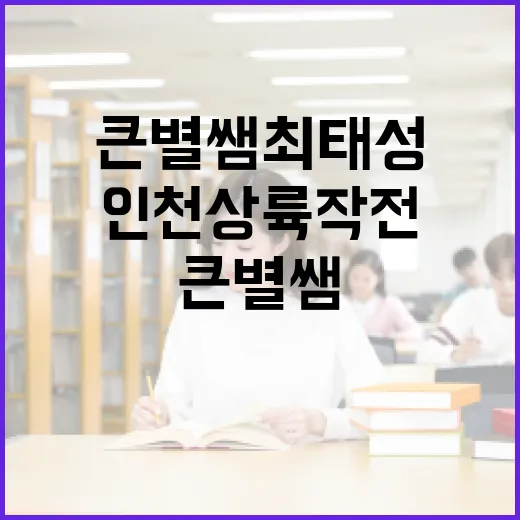큰별쌤 최태성 인천상륙작전 특강 현장