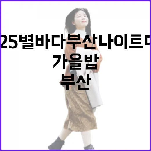 2025 별바다부산 나이트 마켓 가을밤 빛낸다