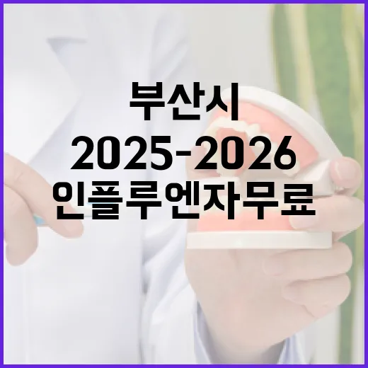 부산시 2025-2026 인플루엔자 무료접종 시작