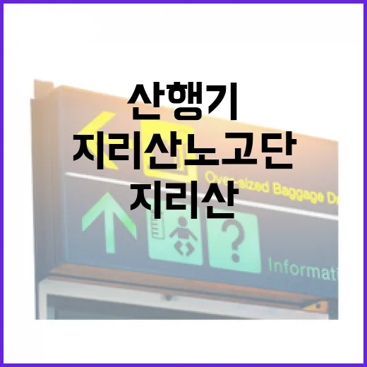 지리산 노고단 가을 야생화 산행기