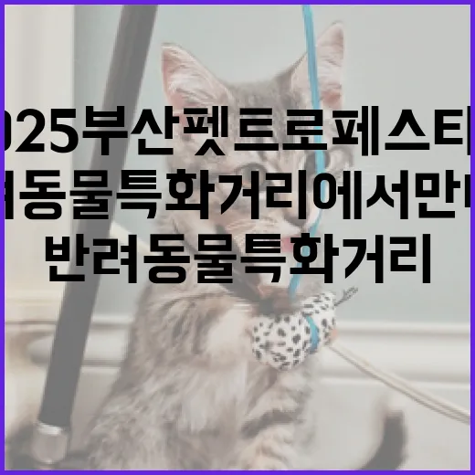 2025 부산 펫트로 페스티벌, 반려동물 특화거리에서 만나요