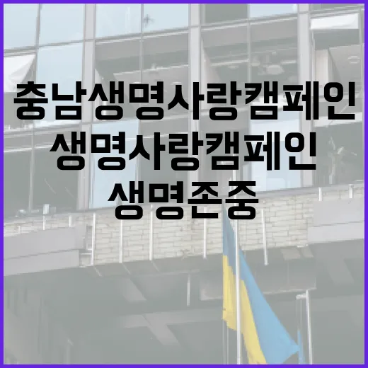 충남 생명사랑 캠페인, 생명존중 문화 확산