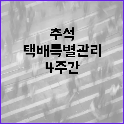 추석 택배 특별관리 4주간 인력 5500명 투입