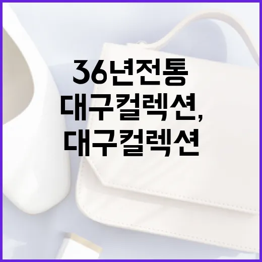 대구컬렉션, 36년 전통 패션쇼의 미래를 열다