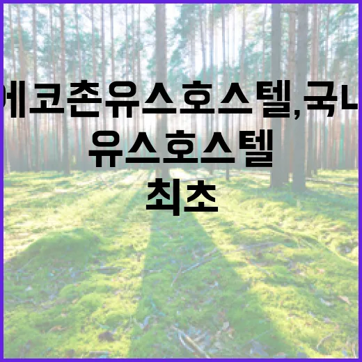 에코촌 유스호스텔, 국내 최초 그린키 인증 획득