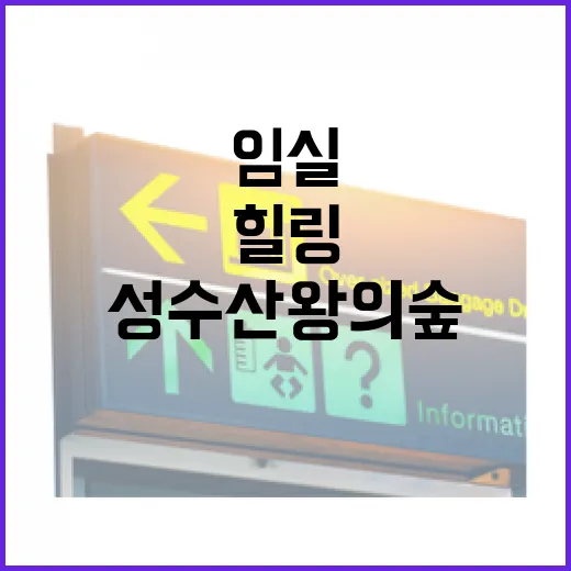 임실 성수산 왕의 숲, 자연과 역사가 어우러진 힐링 명소