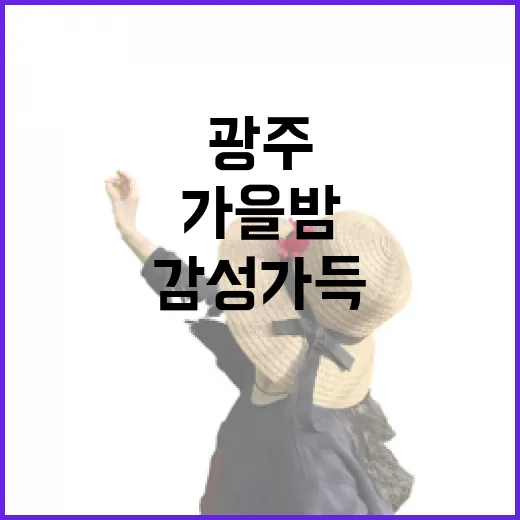 광주 가을밤, 감성 가득 야장 명소