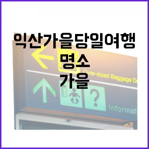 익산 가을 당일 여…