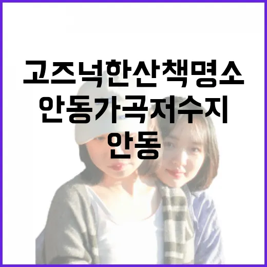 안동 가곡저수지, 고즈넉한 산책 명소