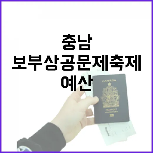 충남 예산 보부상 공문제 축제 현장