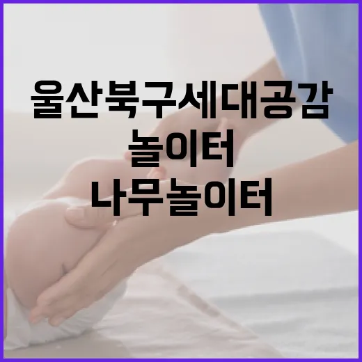 울산 북구 세대공감 나무놀이터 완벽 가이드