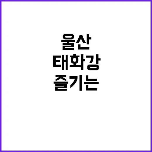 울산 태화강서 즐기는 야외 독서 축제