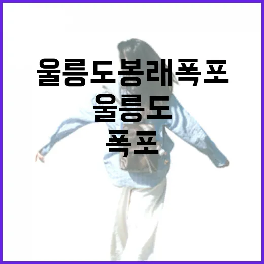 울릉도 봉래폭포 등산길의 청량한 매력