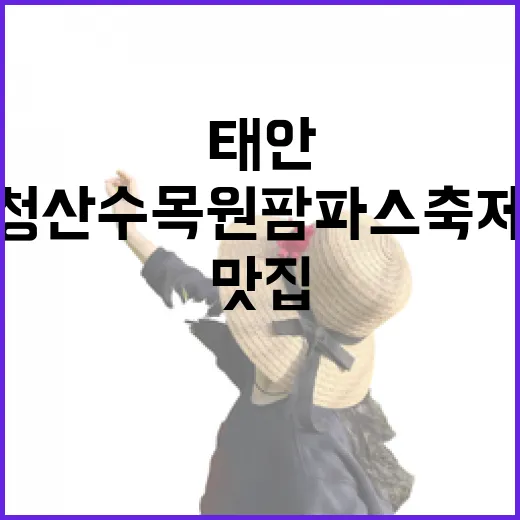 태안 청산수목원 팜파스 축제와 게국지 맛집