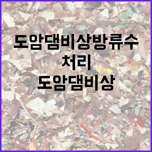 도암댐 비상방류수 정수처리 문제없다