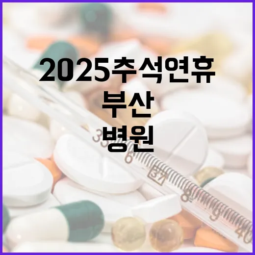 2025 추석 연휴, 부산 38개 병원 선별 외래진료 실시