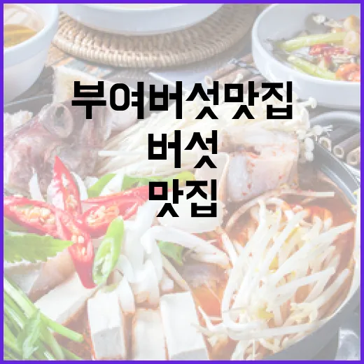 부여 버섯 맛집 7선, 건강과 맛의 조화