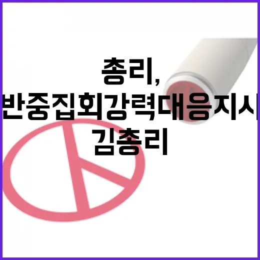 김 총리, 반중 집회 강력 대응 지시