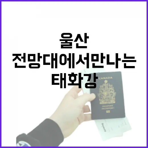 울산 태화강 전망대에서 만나는 자연과 도시