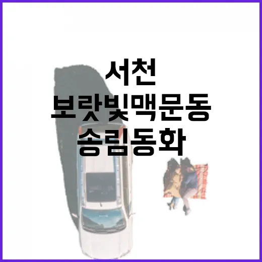서천 보랏빛 맥문동과 송림동화 체험