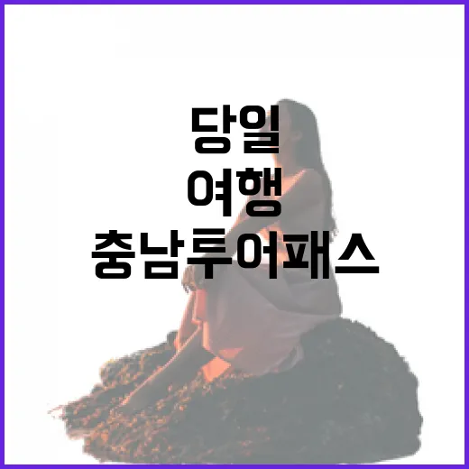충남투어패스와 떠나는 천수만 당일여행